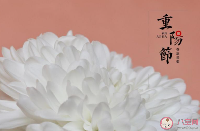 2020重阳节的祝福语简单句子带图 2020重阳节的简单祝福语图片说说