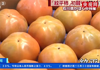 日本纹平柿子拍出天价是怎么回事 一箱6个柿子6395元是真的吗