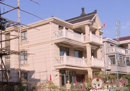 男子买下上海6栋别墅|男子买下上海6栋别墅20年后想起入住是怎么回事 房子居然被卖了是什么情况