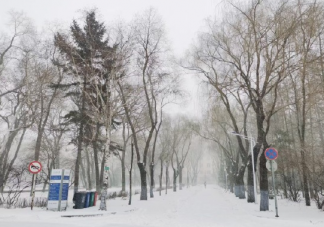 2020年哈尔滨第一场雪的发朋友圈文案 2020哈尔滨初雪心情句子