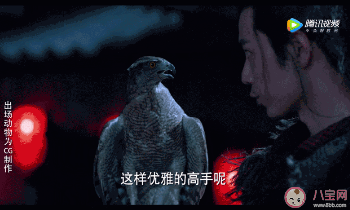 《狼殿下》苍鹰是真鹰还是CG制作  苍鹰是国家二级保护动物吗