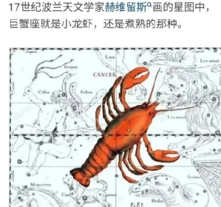 为什么说巨蟹座是龙虾座 巨蟹座是螃蟹还是小龙虾