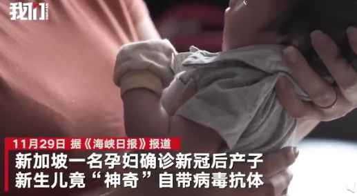 新加坡女子诞下携带新冠抗体男婴 婴儿自带新冠抗体怎么回事