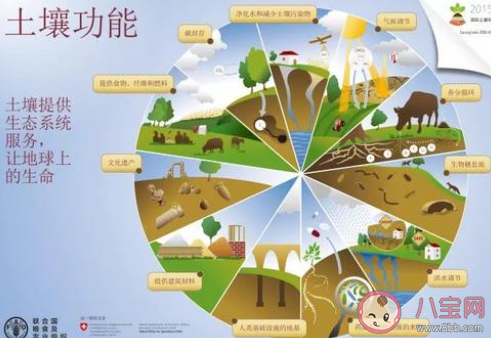 2020世界土壤日主题是什么 世界土壤日有什么意义