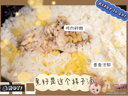 电饭锅滑嫩鸡肉饭|电饭锅滑嫩鸡肉饭做法教程 电饭煲可以做哪些美食