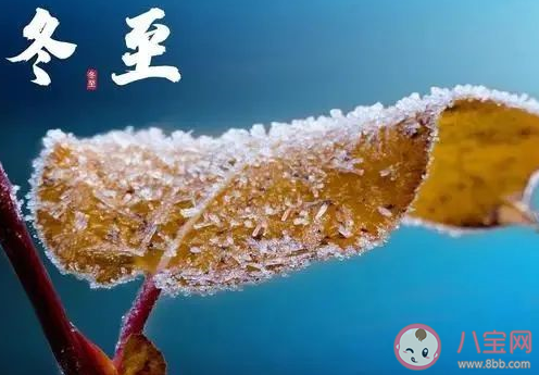 冬至吃饺子的寓意和祝福语大全 冬至吃饺子的图片和祝福语