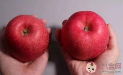 吃苹果时不要啃苹果核是因为苹果核含有少量的 蚂蚁庄园12月11日答案