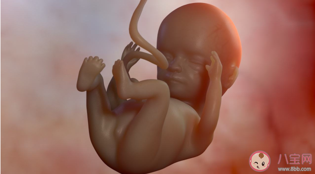 胎儿偏小是营养不够吗 胎儿偏小准妈妈应该怎么做