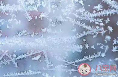 冬天玻璃上形成的冰窗花|冬天玻璃上形成的冰窗花一般在窗户的哪一侧 支付宝蚂蚁庄园12月20日课堂问题答案