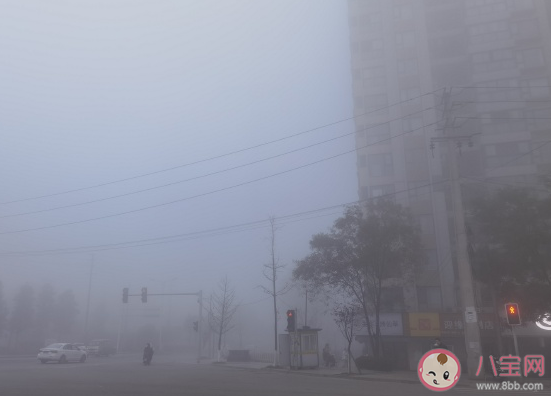清晨大雾天气的发朋友圈说说 早上雾很美优美句子