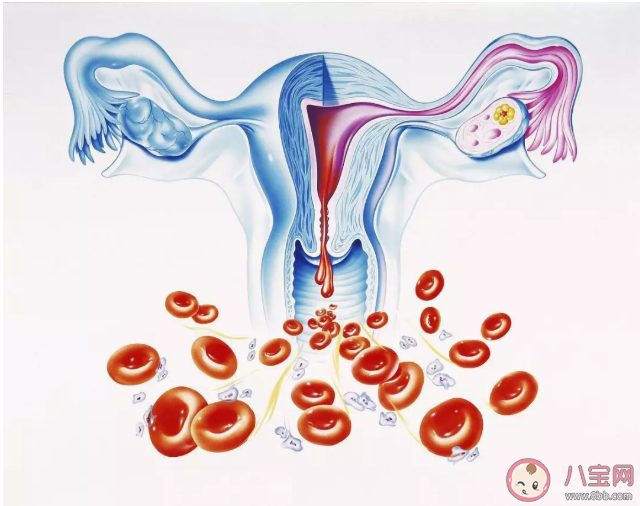 女性月经发黑是什么原因 月经血量少颜色发黑喝中药能调理吗