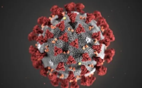 变异新冠病毒将成2021年新挑战 变异病毒有哪些影响