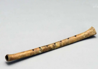 迄今为止我国发现的最古老的乐器是什么 蚂蚁庄园1月11日答案最新