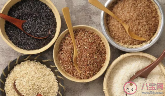米饭面条馒头等主食的营养物质是什么 蚂蚁庄园1月14日答案