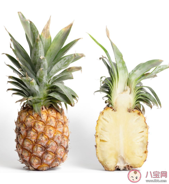 凤梨和菠萝是不是同一种水果有什么区别 凤梨和菠萝有什么关系