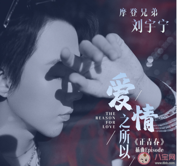 刘宇宁新歌《爱情之所以》歌词是什么 爱情之所以完整版歌词内容
