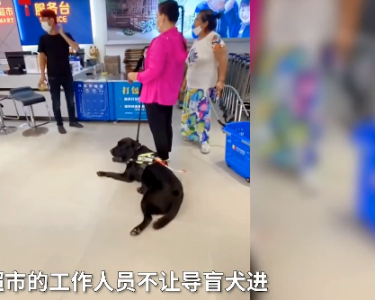 【万爱娱】海南一超市为什么拒绝盲人带导盲犬购物 导盲犬能不能进室内公共场所