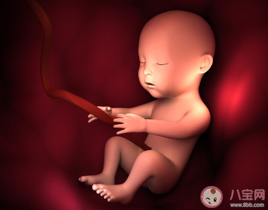 如何了解孕期胎儿生长速度 孕期如何保证孕妈胎儿都健康