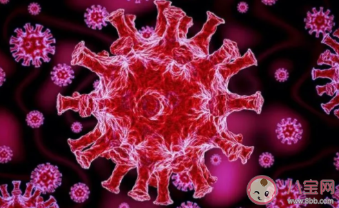 新冠病毒在25℃环境可存活3至4天 新冠病毒到底是如何被灭活的