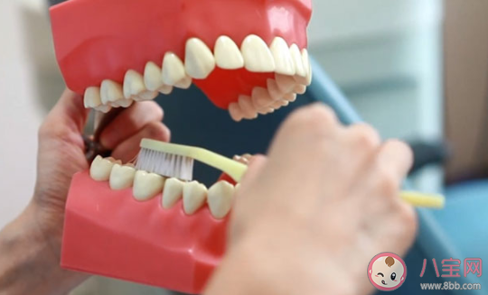 牙缝清洁|牙缝清洁到底有多重要 如何清洁牙缝