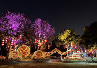 2021武汉元宵节哪里可以看灯会 关于元宵节传统习俗介绍