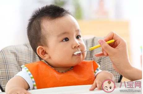 吃肉的孩子会更聪明是真的吗 宝宝什么时候吃肉最好