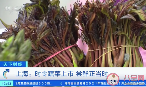 上海香椿卖到90元一斤是怎么回事 春菜指的是哪些蔬菜