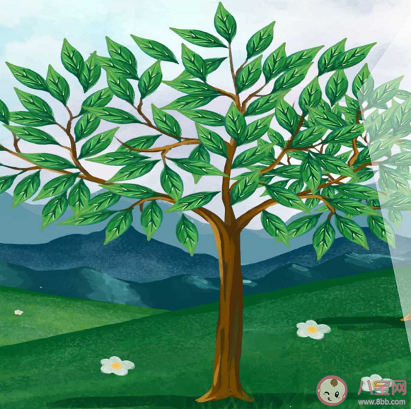 2021幼儿园植树节活动报道美篇 幼儿园植树节活动总结感想