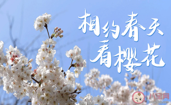【万爱娱】2021武汉八大赏花活动游玩时间是什么时候 武汉八大赏花游活动详细时间介绍