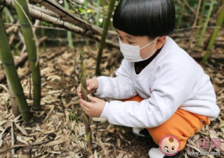 幼儿园植树节种树的活动报道美篇2021 幼儿园组织小朋友种树的活动稿件2021
