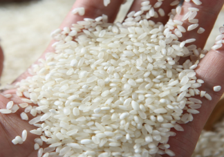 糙米与白米哪个更有营养 糙米和白米怎么吃更健康