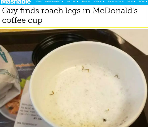 多数咖啡粉中含有蟑螂是真的吗 为什么咖啡机里会有蟑螂