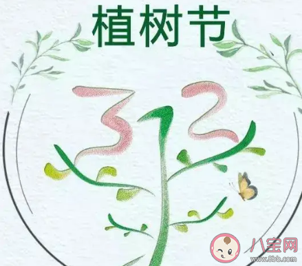 植树节经典祝福语2021 关于植树节的唯美句子