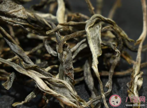 中国首次发现|中国首次发现云南管蕊茶是怎么回事 云南管蕊茶为什么这么稀少