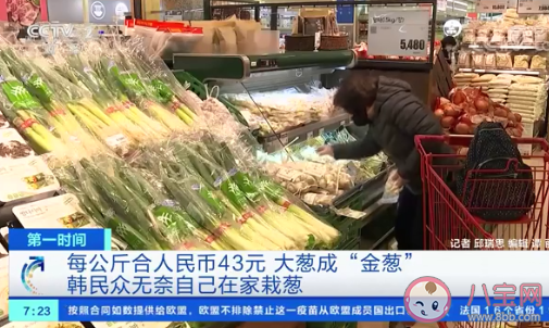 韩国大葱涨价|韩国大葱涨至43元一公斤是怎么回事 全球食品价格持续上涨是为什么