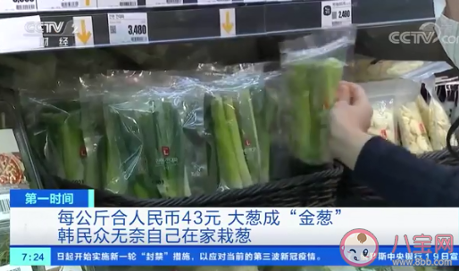韩国大葱涨至43元一公斤是怎么回事 全球食品价格持续上涨是为什么