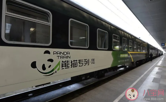 成都熊猫专列有哪些路线 熊猫专列车厢功能介绍