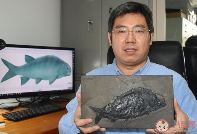 【万爱娱】贵州发现2.44亿年前大型盘州暴鱼是怎么回事 盘州暴鱼是什么物种