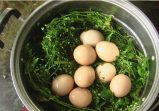 农历三月三吃地菜煮鸡蛋有什么说法寓意 三月三荠菜煮鸡蛋习俗是怎么来的