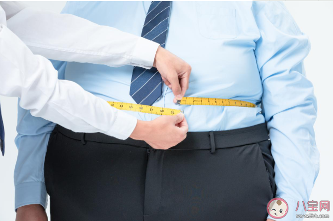 为什么肥胖人群更容易得高血压 肥胖人群怎么预防高血压