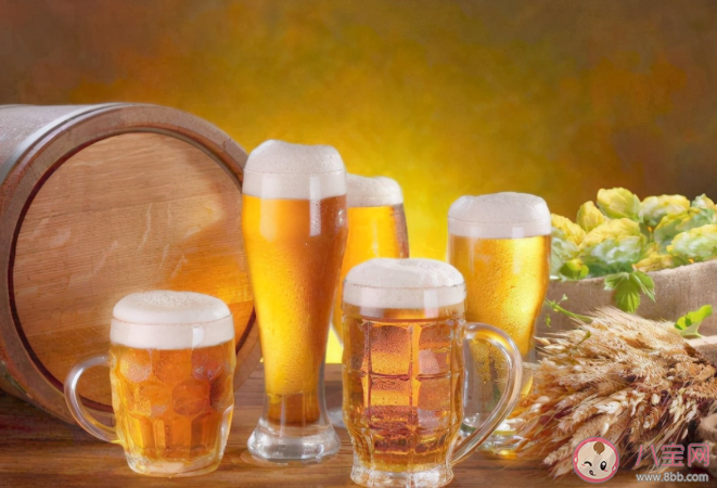 啤酒|一杯啤酒总共能产生多少个气泡 啤酒倒入杯中后为什么有很多气泡上升
