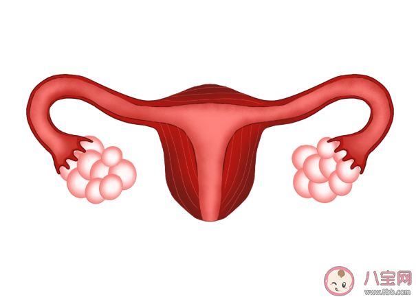 卵巢癌的高发人群是哪些 如何减少卵巢癌的发生