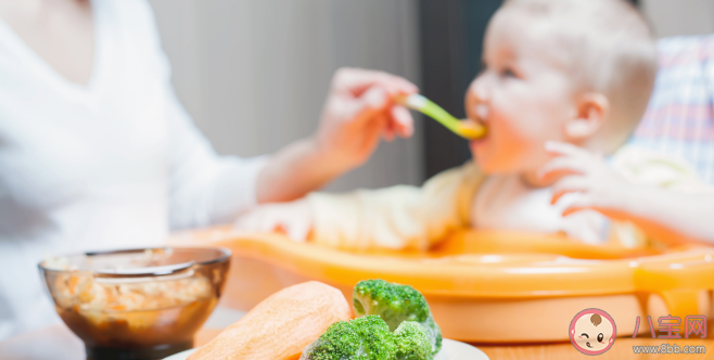 孩子多大开始吃蔬菜比较好 宝宝辅食蔬菜水果泥的做法