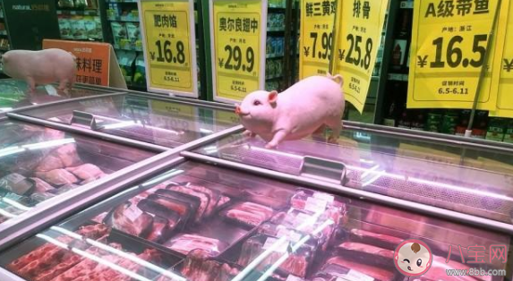 猪肉价格|猪肉价格连降15周是怎么回事 猪肉价格后期还会不会反弹