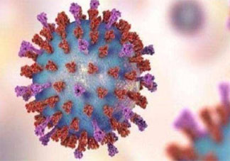 巴西已检出110种变异新冠病毒毒株 新冠病毒为什么一直在变异
