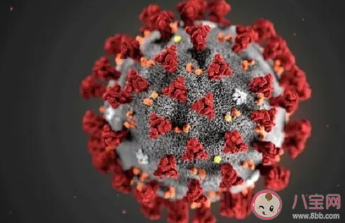 【万爱娱】新研究发现冠状病毒的致命弱点是什么 这一发现有什么作用