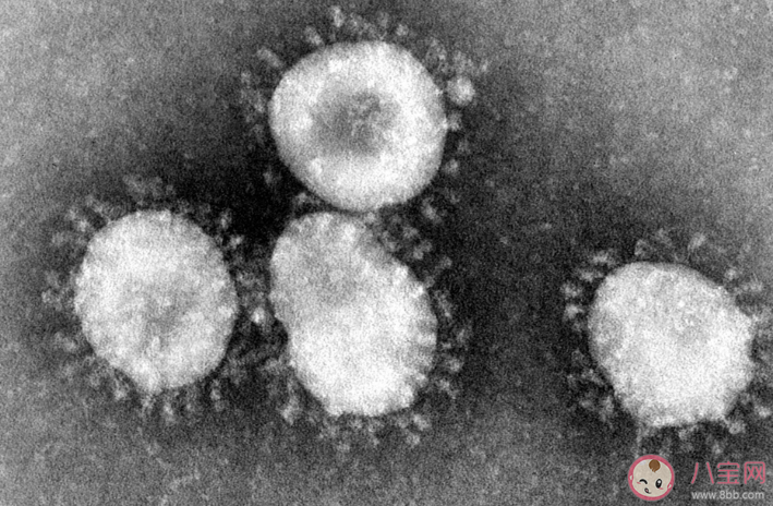 新研究发现冠状病毒致命弱点 核糖体和移码机制是什么意思