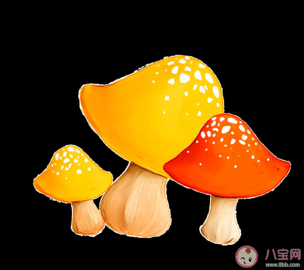 野生蘑菇|怎样鉴别野生的蘑菇是否有毒 食用毒蘑菇后怎么自我急救