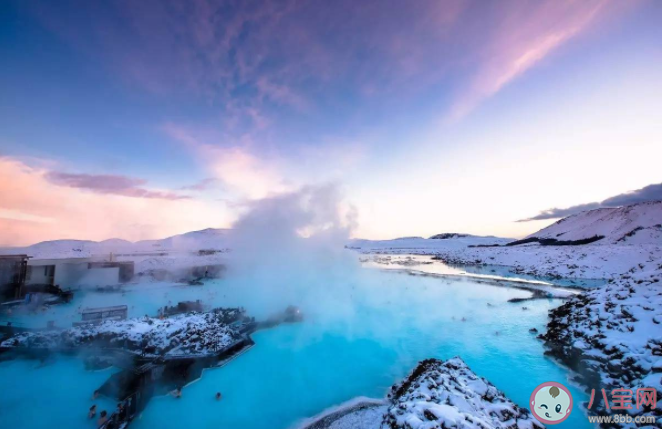 冰岛|冰岛上为什么没有蚊子 蚊子在地球上到底有什么用
