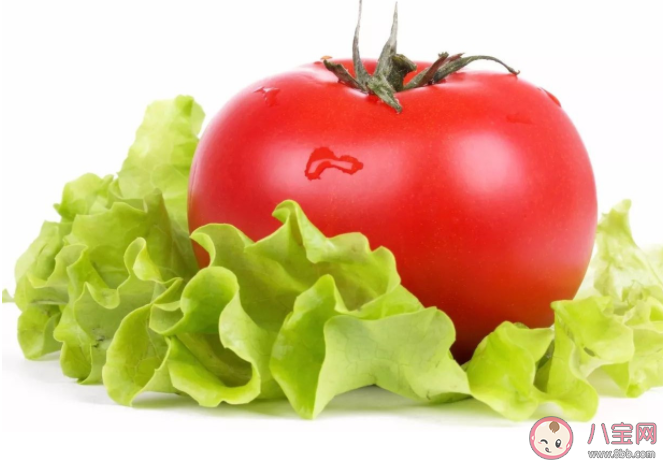 西红柿生吃和熟吃哪种营养更好 未成熟的发青西红柿可以生吃吗